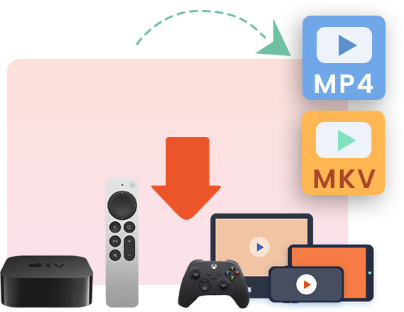 Danime Downloader features