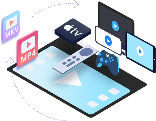 TikTok Downloader features