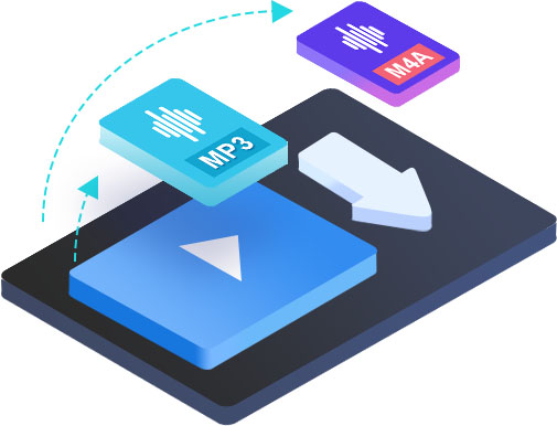 TikTok Downloader features