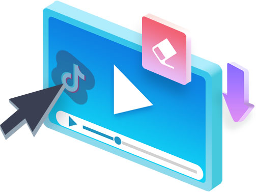 TikTok Downloader features