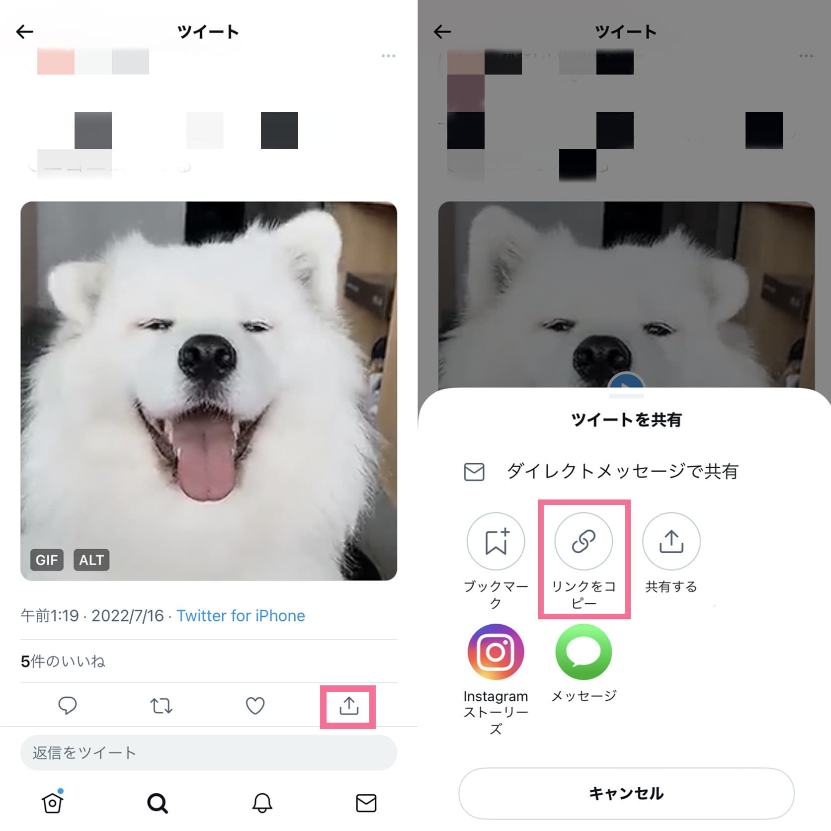 Pc Iphone Android Twitterのgif画像のダウンロード 保存方法 サイト 拡張機能 アプリ Cleverget